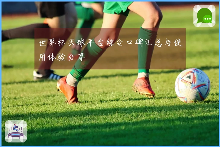 世界杯买球平台综合口碑汇总与使用体验分享