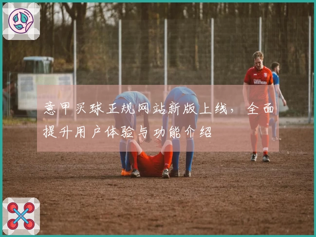 意甲买球正规网站新版上线,全面提升用户体验与功能介绍